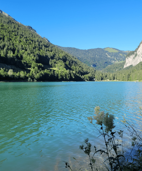 Visuel de Montriond