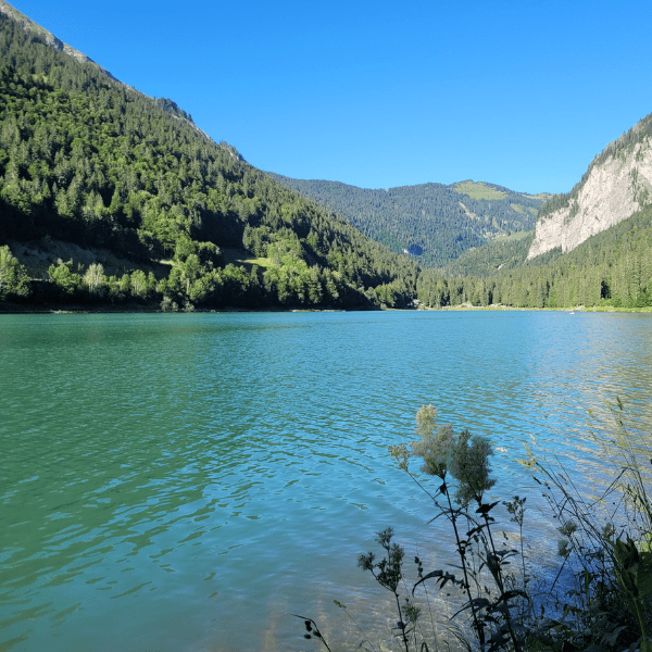 Visuel de Montriond