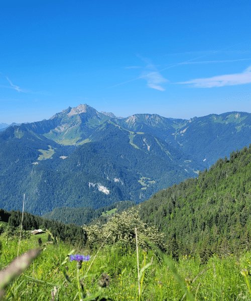 Visuel de Saint Jean d'Aulps