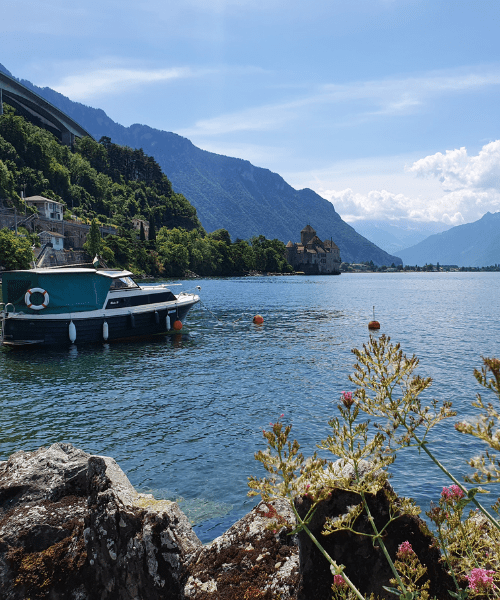 Visuel du Lac Léman