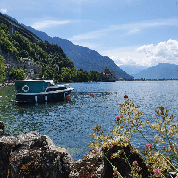 Visuel du Lac Léman